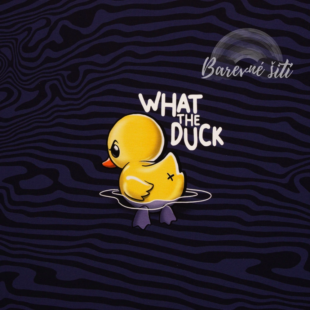 Teplákovina, Kachnička, what the duck, panel (E)