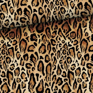 Teplákovina, Leopard (E)