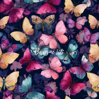 Zimní softshell Motýlí symfonie (E)